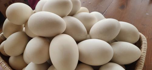 大雁蛋销售时你知道它的营养成分吗？